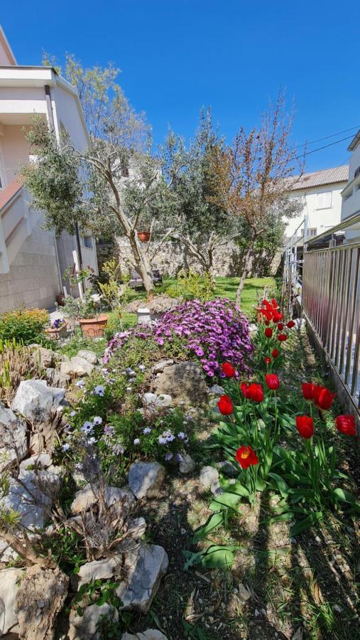 נובליה Apartmani Dami מראה חיצוני תמונה